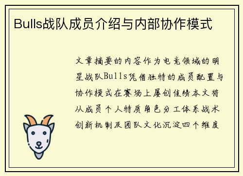Bulls战队成员介绍与内部协作模式